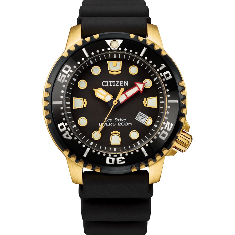 Citizen Stainless Steel Promaster Eco Mens Watch