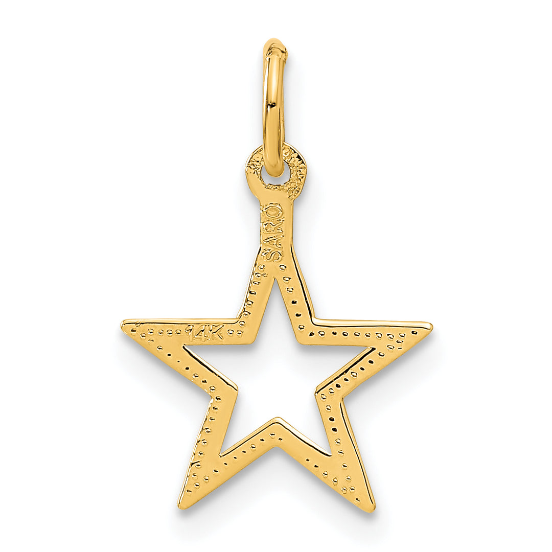14k Diamond-cut Star Charm