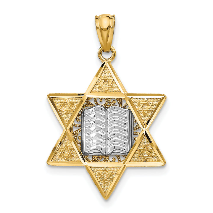 14k Two-tone Star of David Reversible Pendant