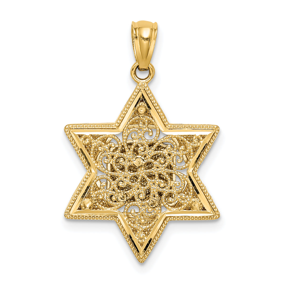 14k Two-tone Star of David Reversible Pendant