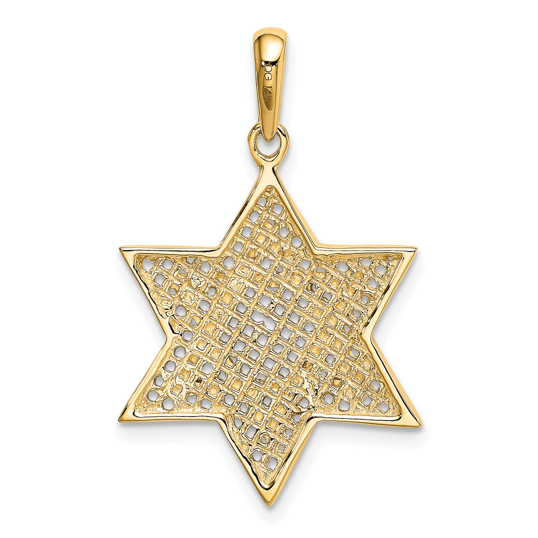 14K w/Rhodium Solid Mesh Star Of David Charm