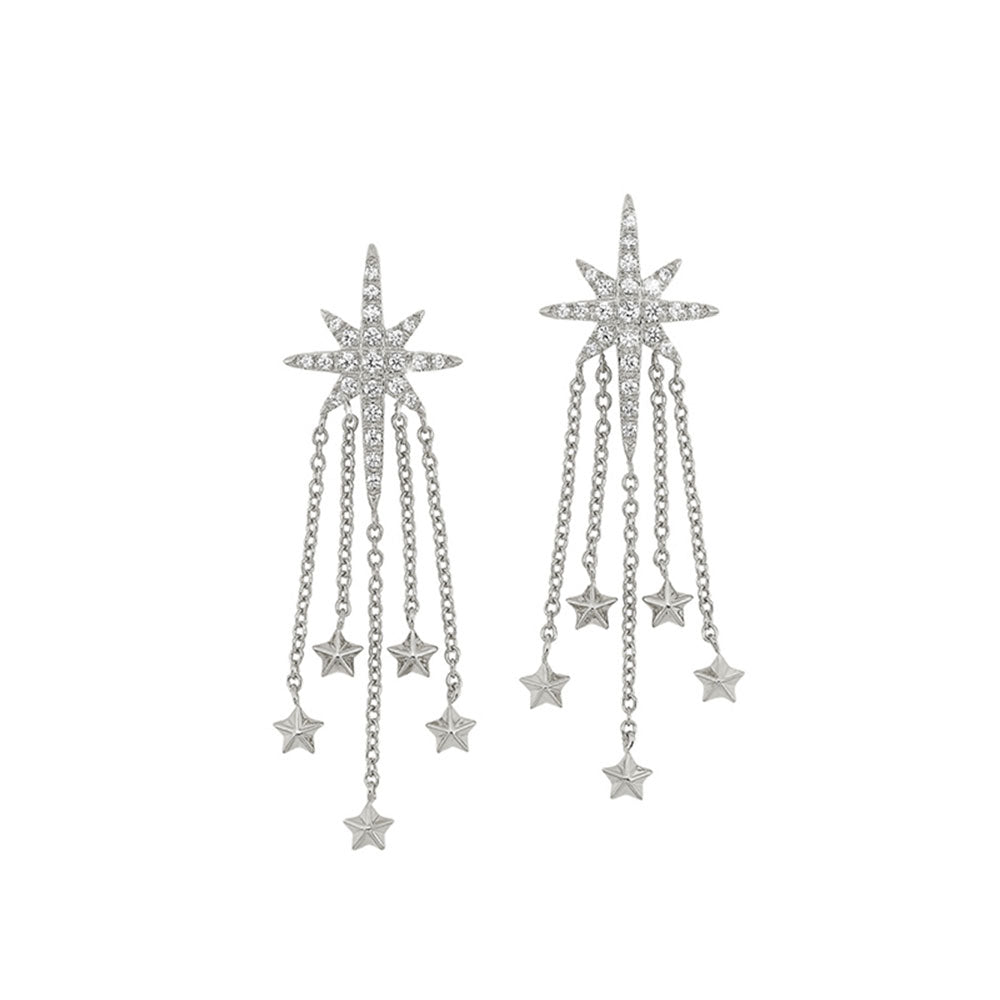 14Kt White Gold Diamond 1/4Ctw Earring
