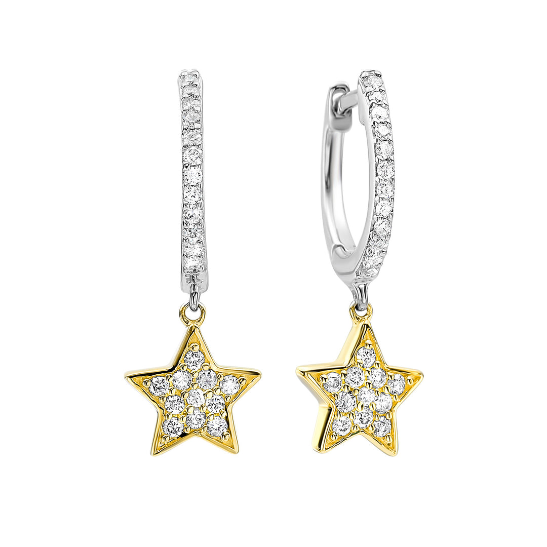 14Kt White Yellow Gold Diamond 1/4Ctw Earring