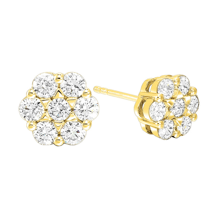 14Kt Yellow Gold Diamond 3/4Ctw Earring