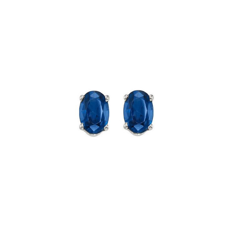 14Kt White Gold & Sapphire 1/2Ctw Earring
