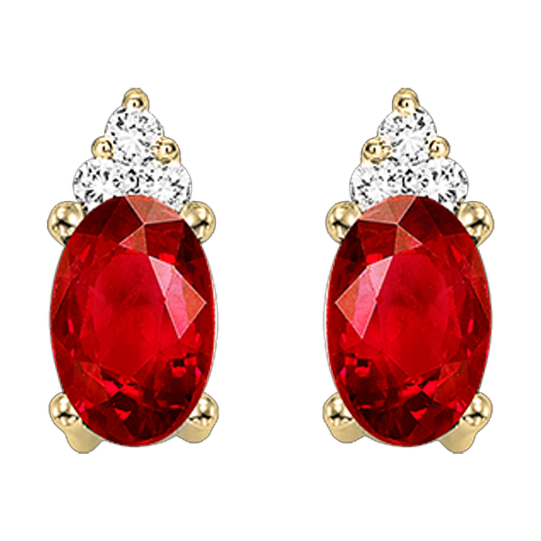 10Kt Yellow Gold Diamond 1/25Ctw & Garnet 5/8Ctw Earring