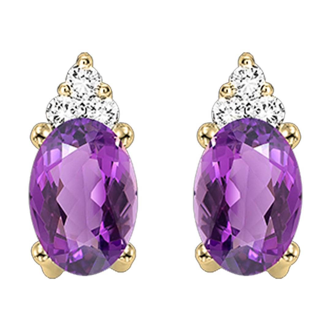 10Kt Yellow Gold Diamond 1/25Ctw & Amethyst 5/8Ctw Earring