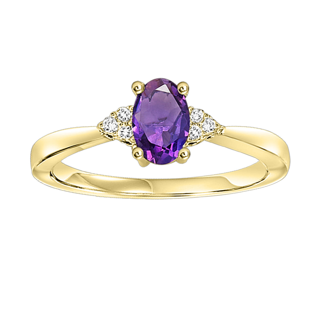 10Kt Yellow Gold Diamond 1/20Ctw & Amethyst 3/8Ctw Ring