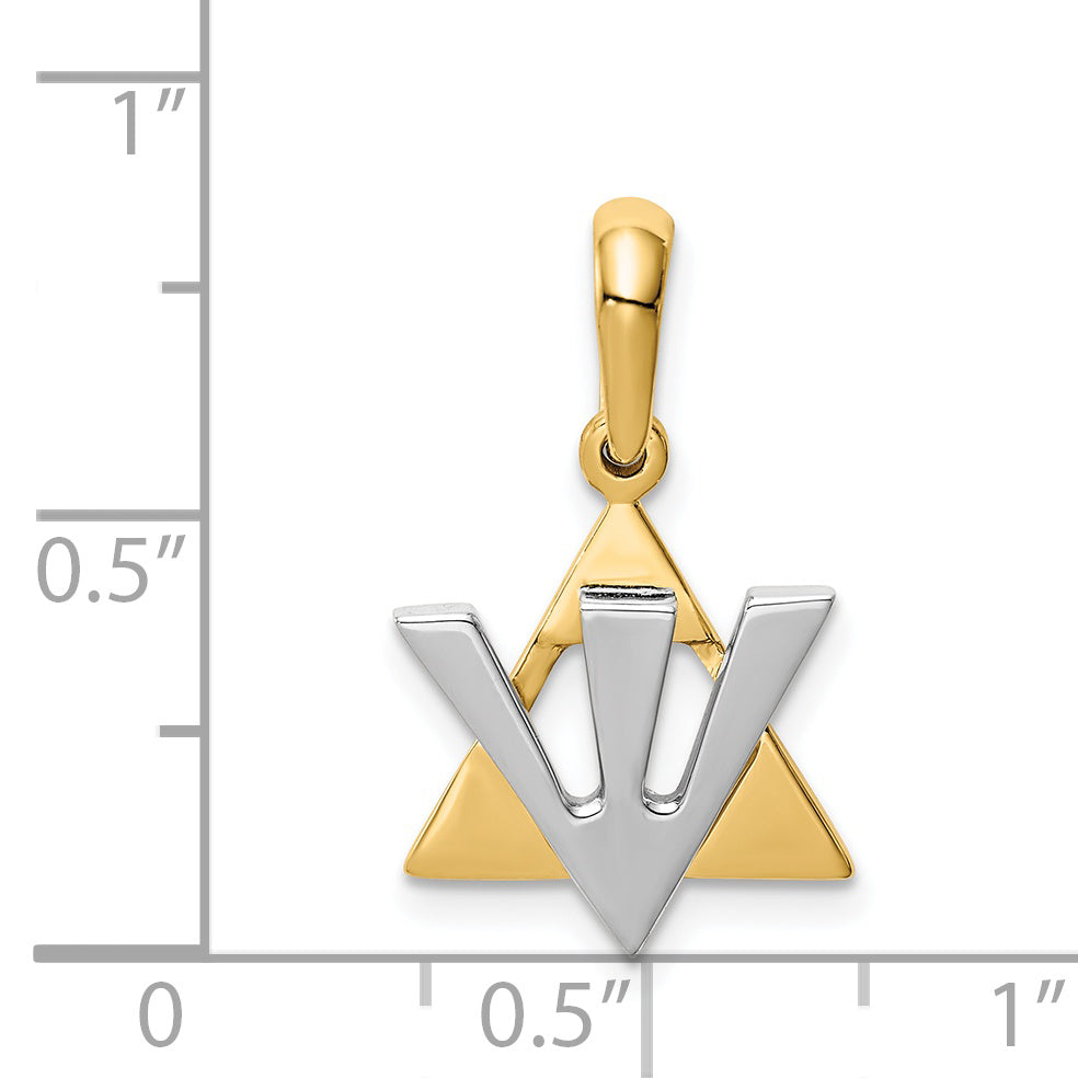 14K Two-tone Star of David w/Shin Charm