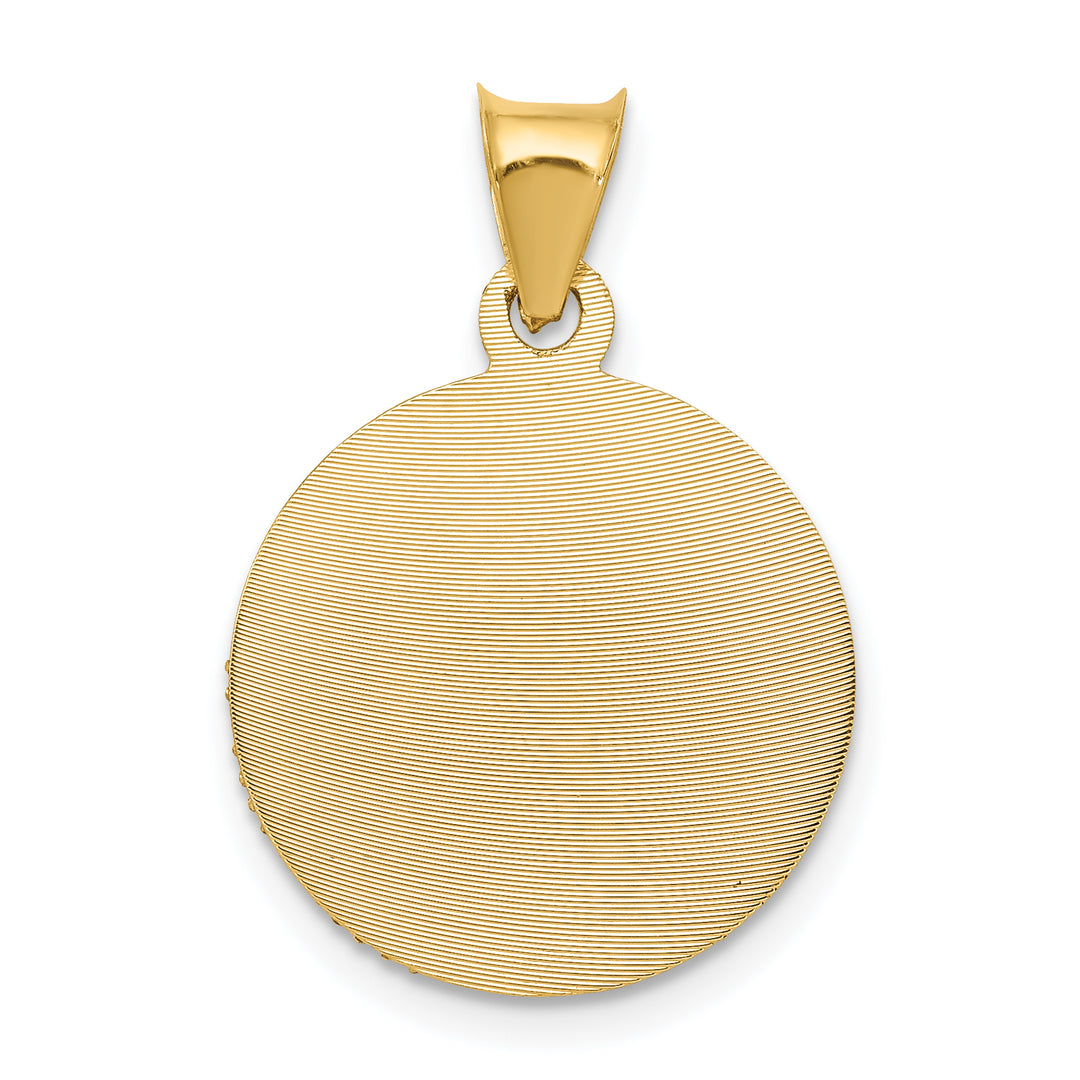 14K w/Rose and White Rhodium D/C Sagrado Corazon Pendant