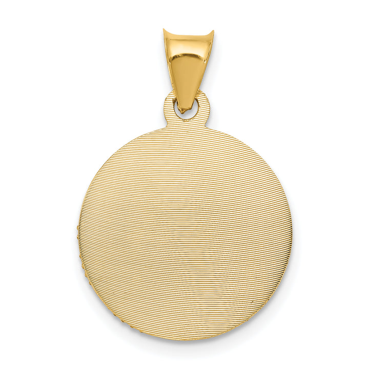14K w/Rose and White Rhodium D/C Sagrado Corazon Pendant