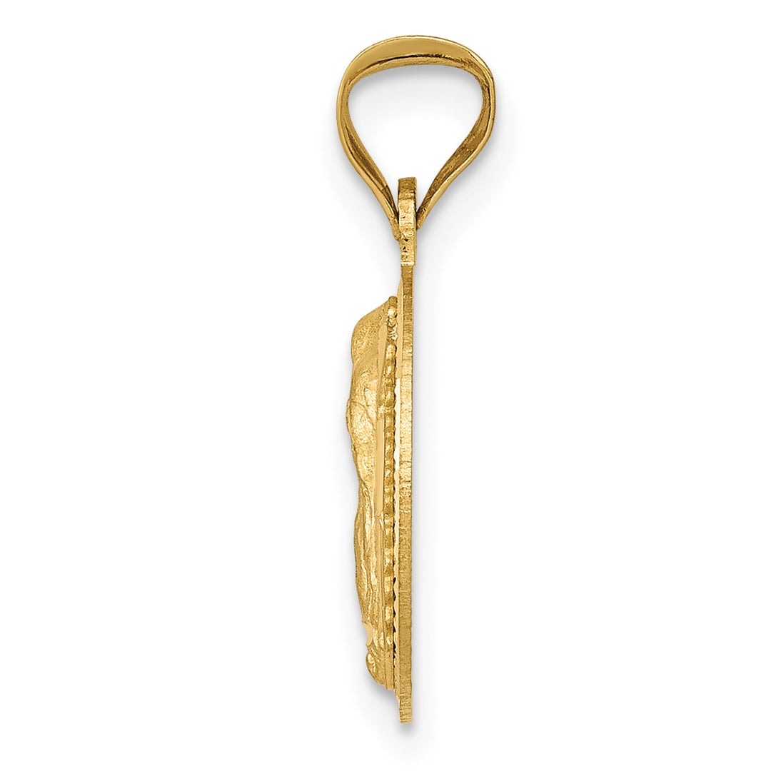 14K Polished D/C Lady Of Guadalupe Circle Pendant