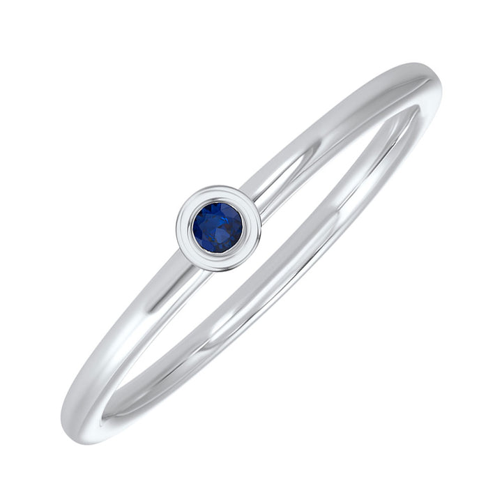 14Kt White Gold Sapphire 1/20Ctw Ring