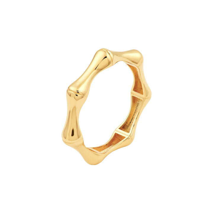Bamboo Band