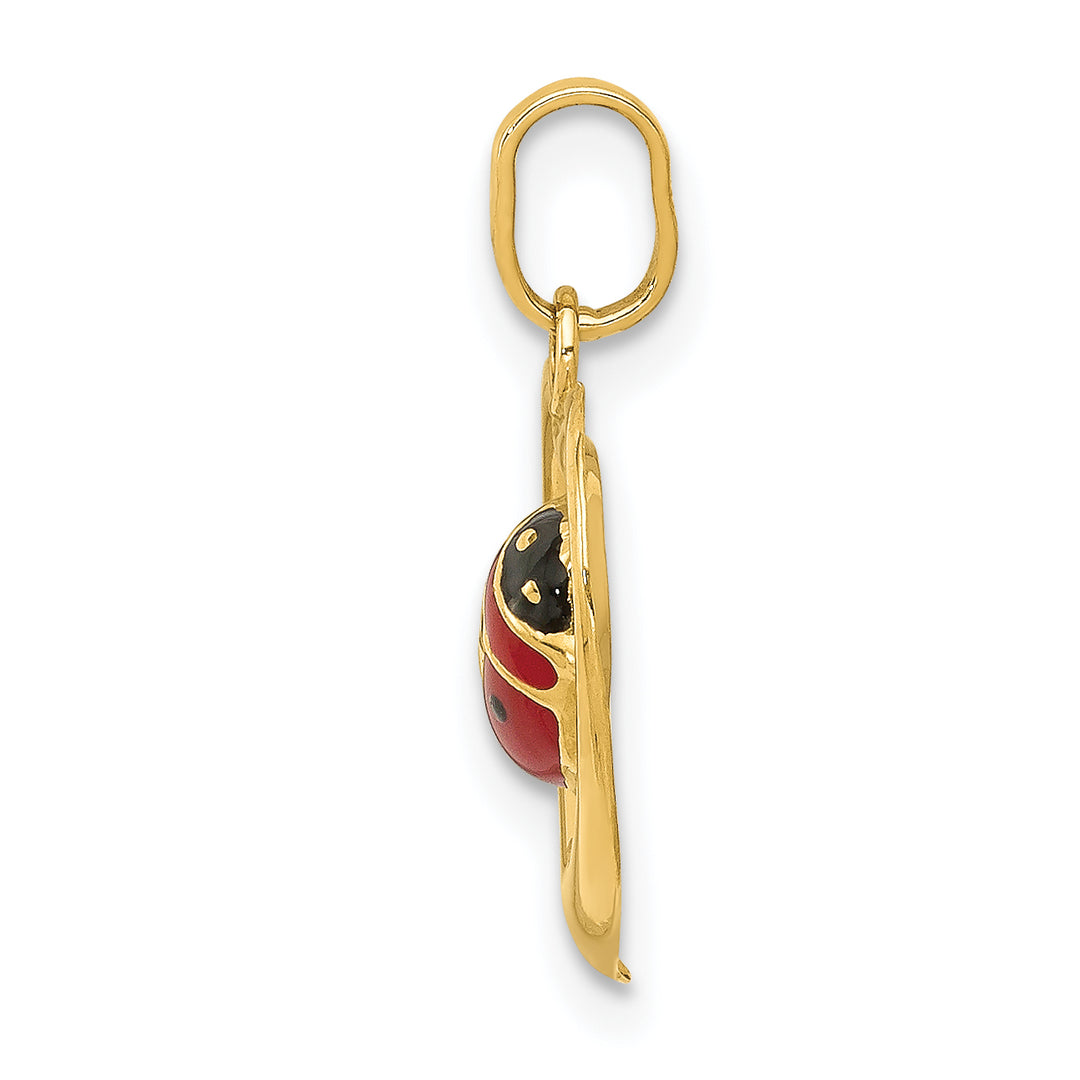 14k Enameled Ladybug in Heart Charm