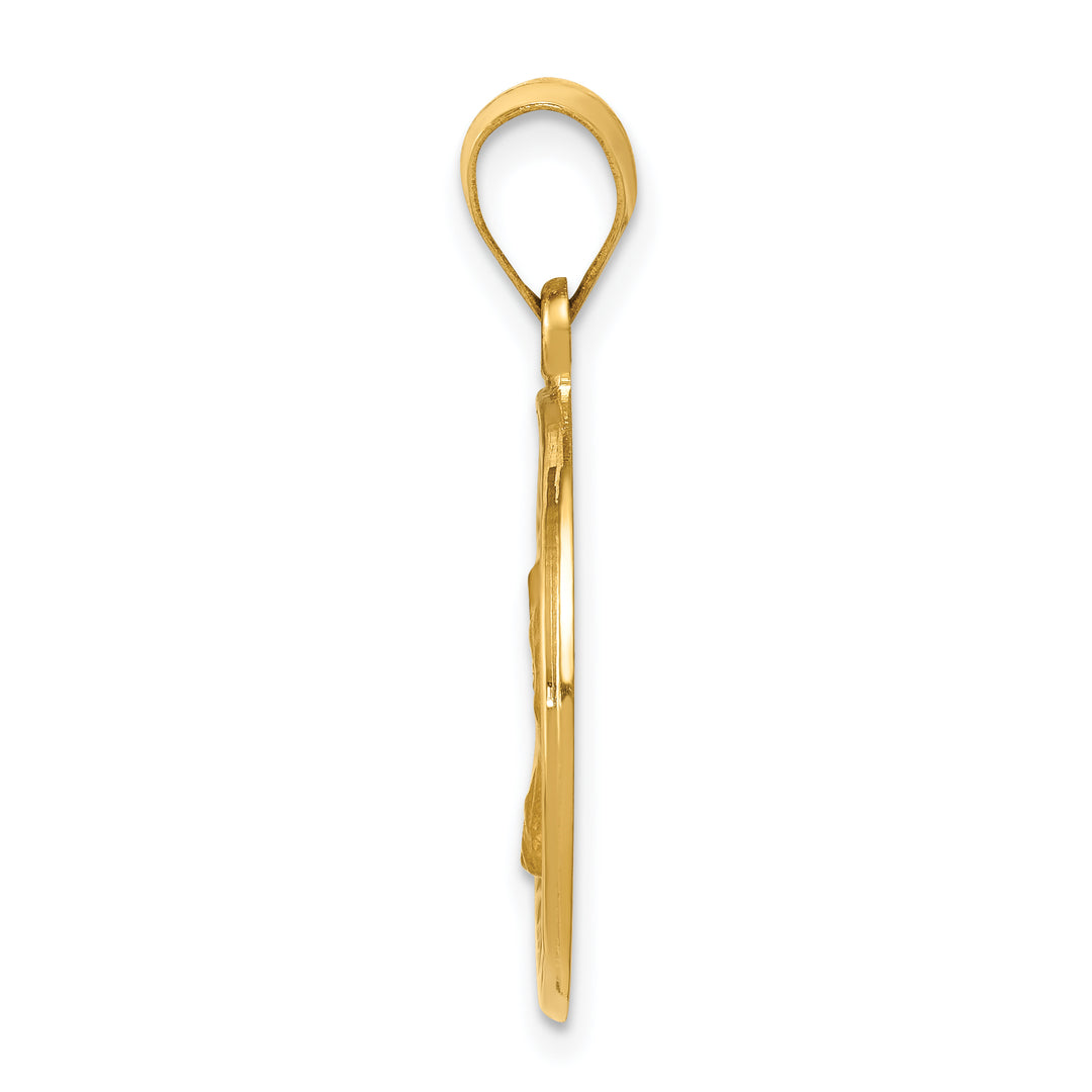 14k Polished and Satin St. Charles Medal Hollow Pendant