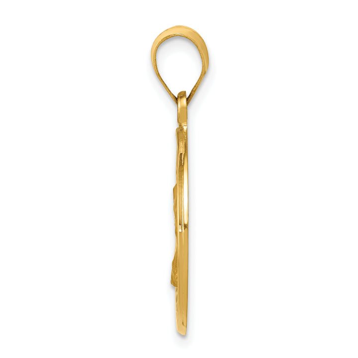 14k Polished and Satin St. Charles Medal Hollow Pendant