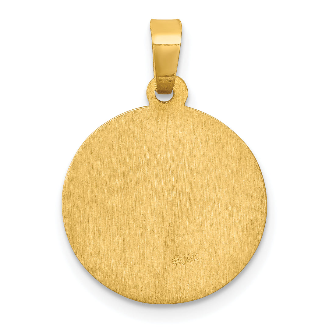 14k Polished and Satin St Luke Medal Hollow Pendant