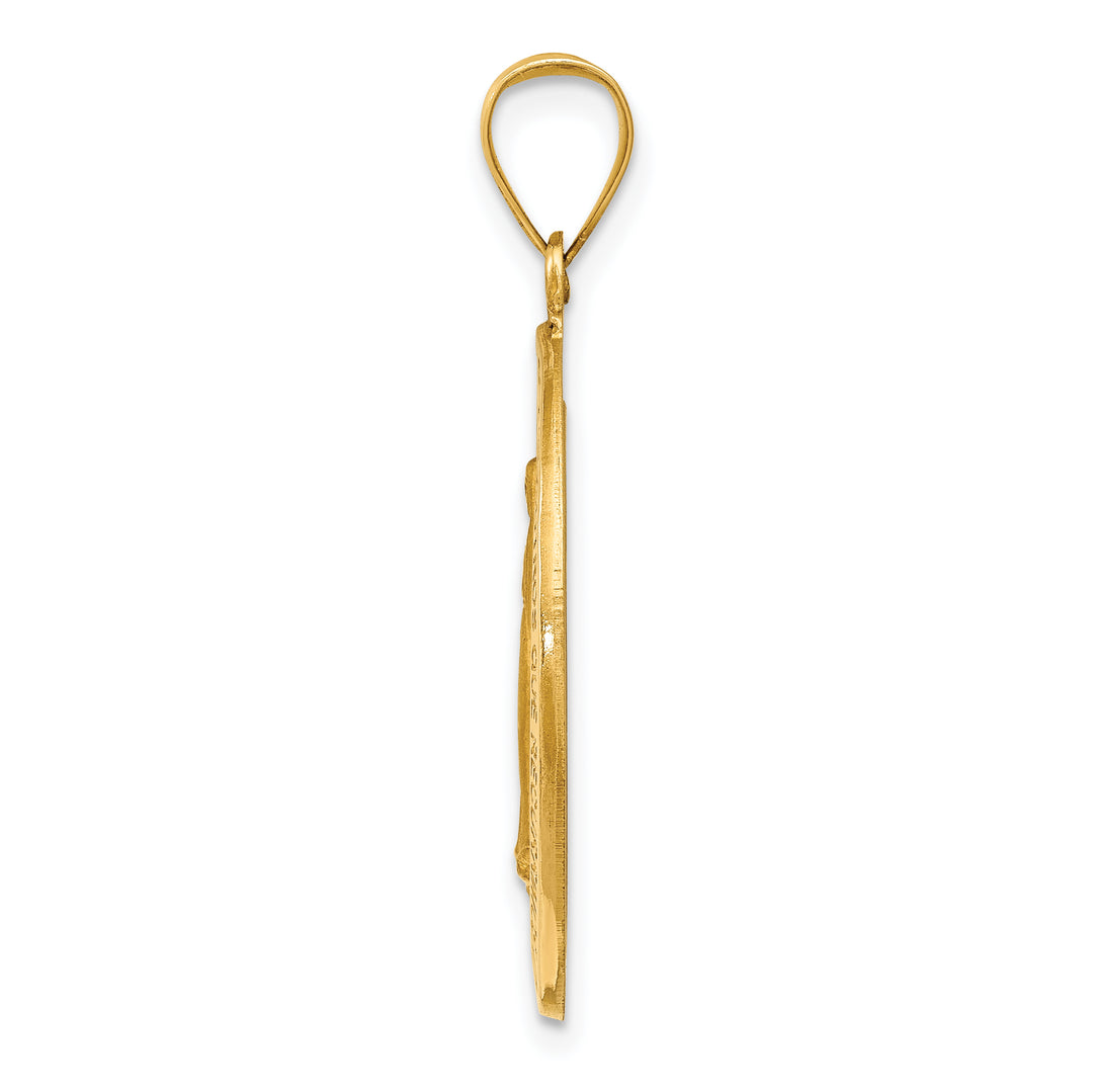 14k Polished and Satin Hollow Spanish Miraculous Medal Pendant