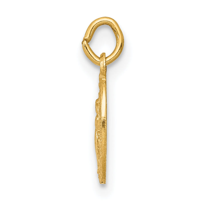 14k Miraculous Medal Charm