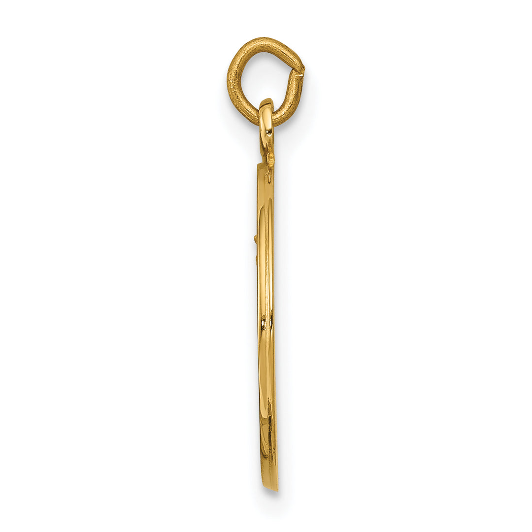 14k Our Lady of Mount Carmel Medal Charm