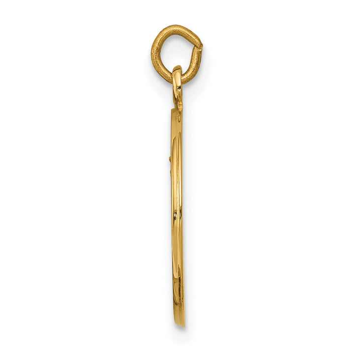 14k Our Lady of Mount Carmel Medal Charm