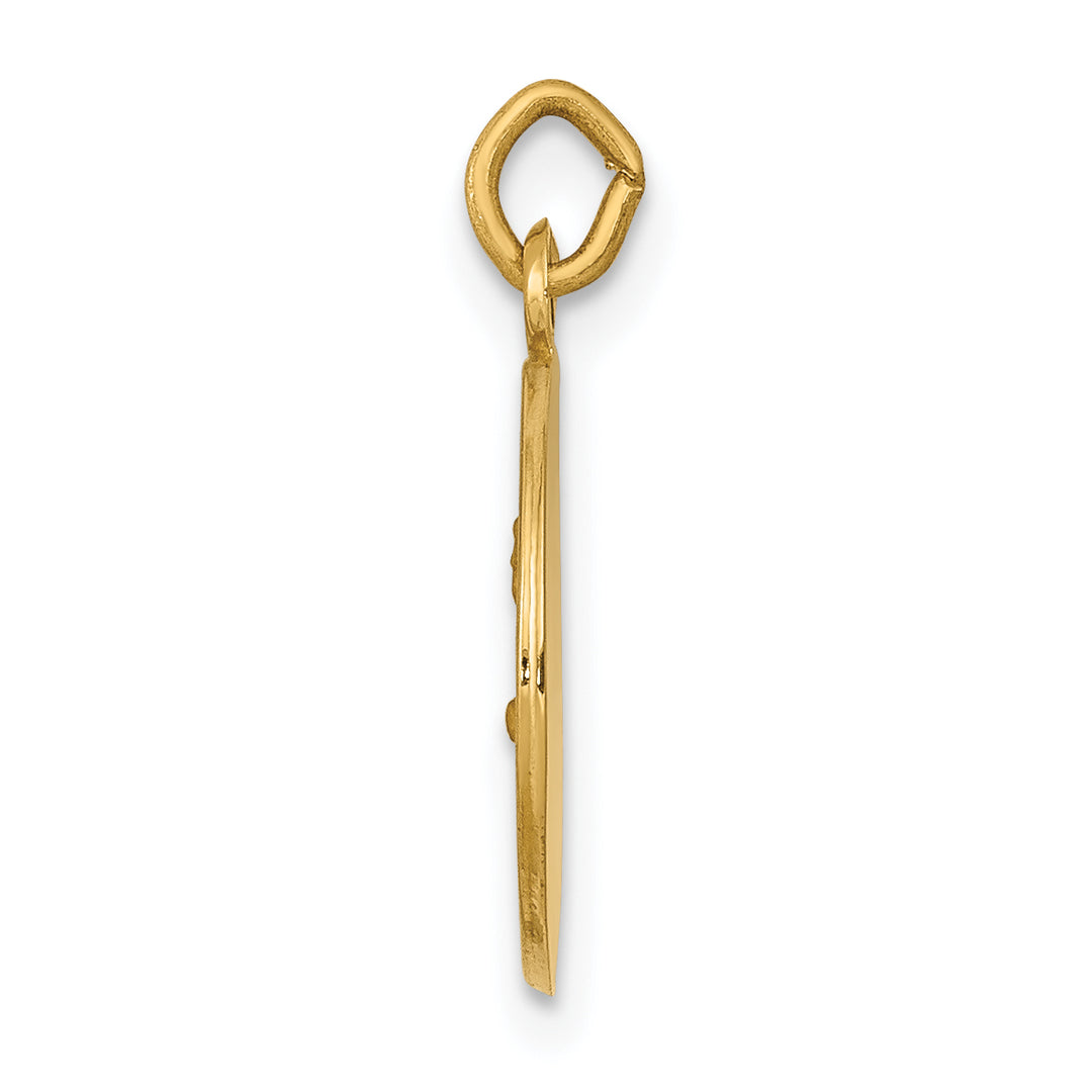14k Saint John Medal Charm